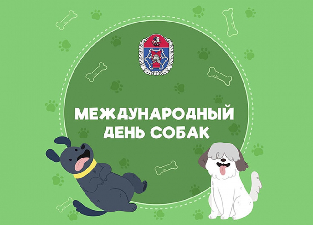 Международный День собак
