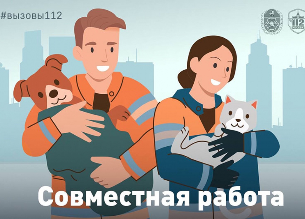 А ты найди кота