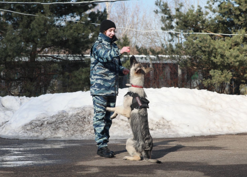 Полицейские совместно с Общественным советом при УВД по ЮЗАО познакомили...