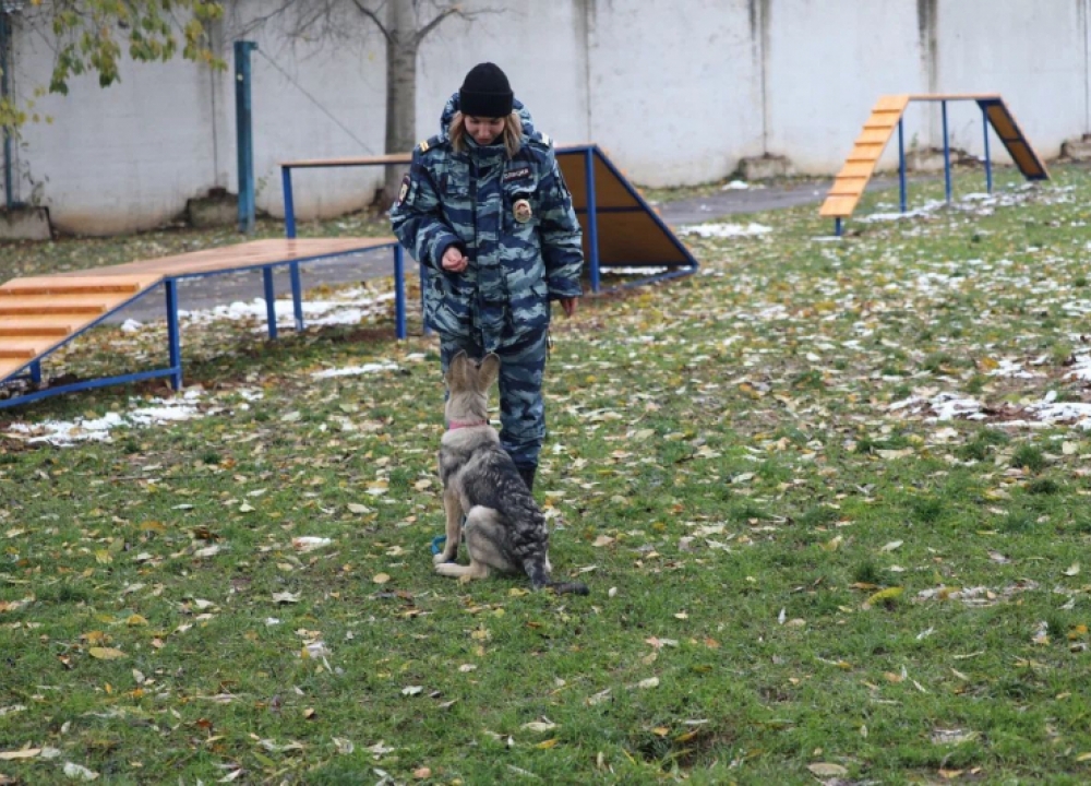 В кинологическом центре УВД по ЮЗАО состоялось открытие полосы препятствий...