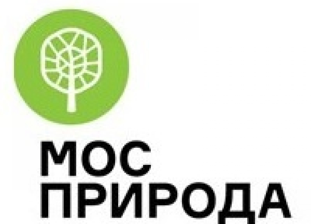Зелёные острова Москвы