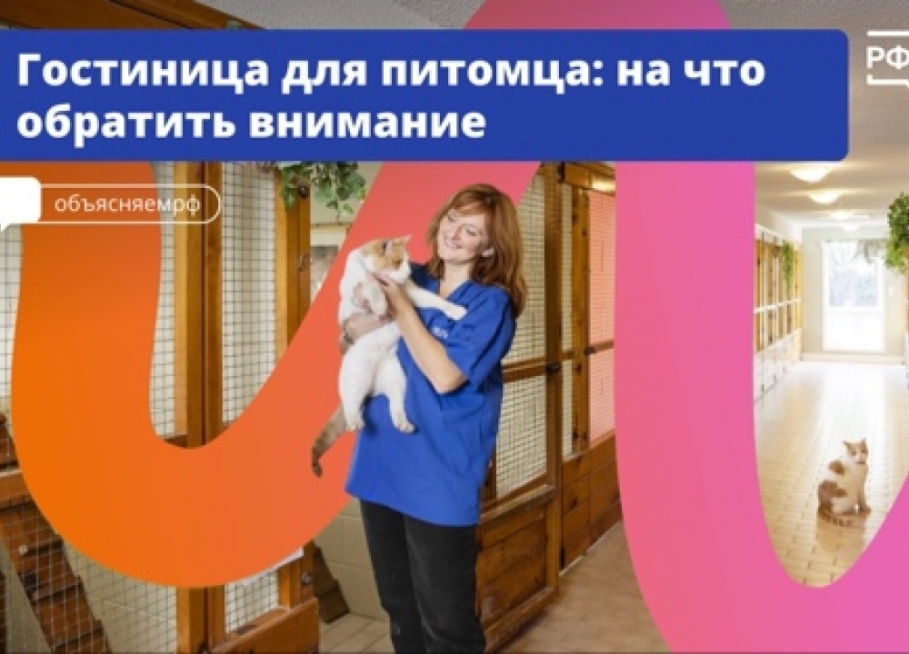 Отель для животных