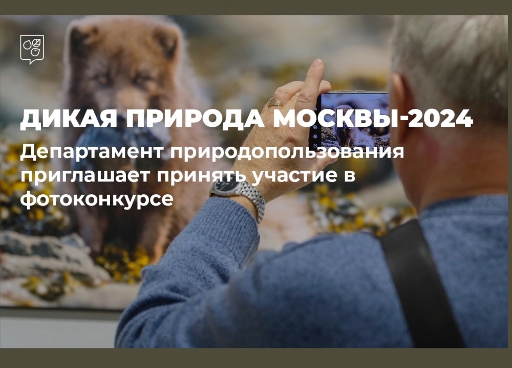 Фотоконкурс «Дикая природа Москвы-2024»