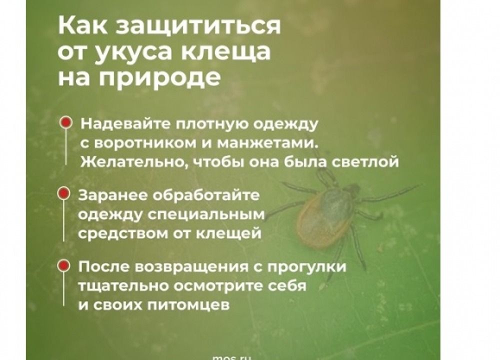 Клещи и безопаность