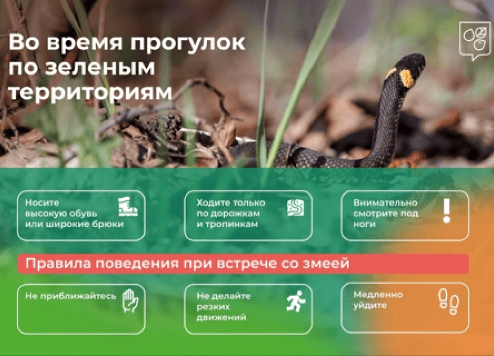 Безопасность на природе