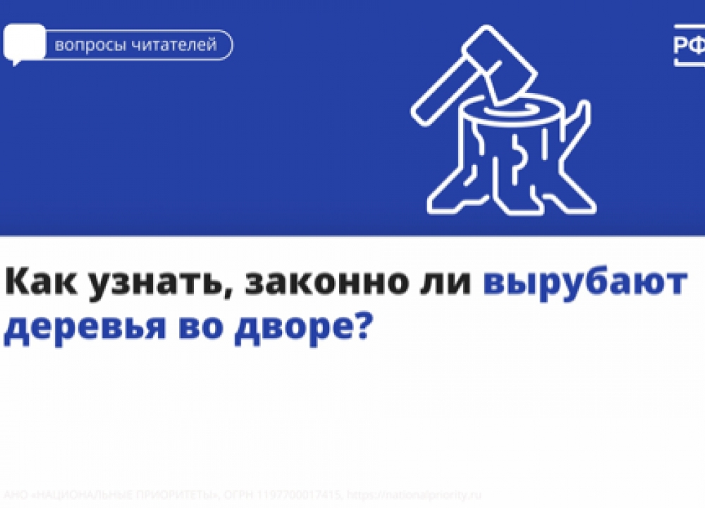 Вырубка деревьев во дворах