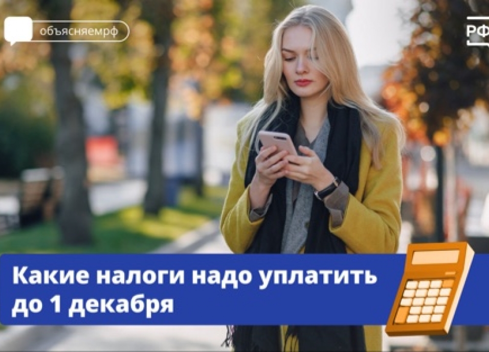 Налоги за 2024 год