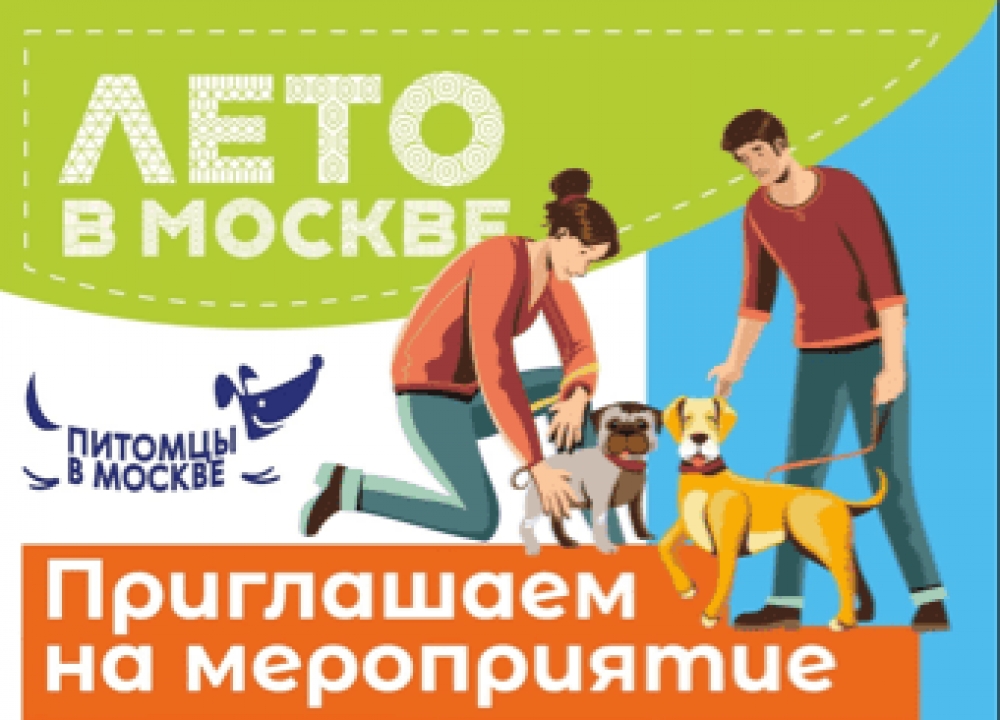 Мастер-класс по бесплатной дрессировке собак