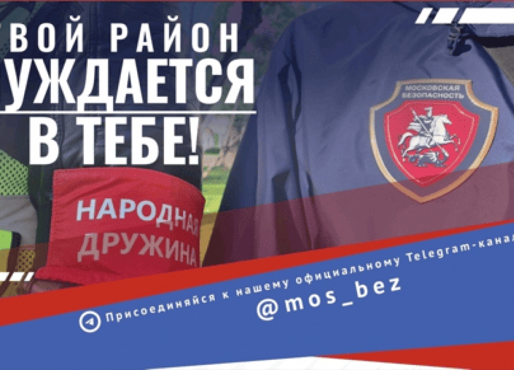 Народная дружина в Теплом Стане